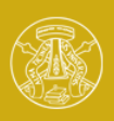 University of Pavia